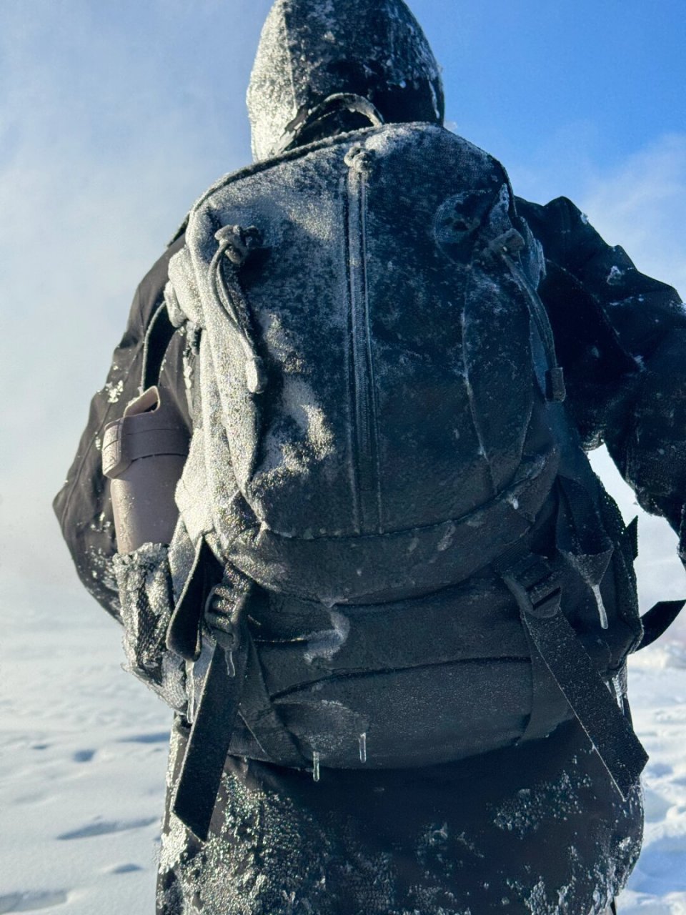 回东北叻,人又双叒叕差点儿冻住了