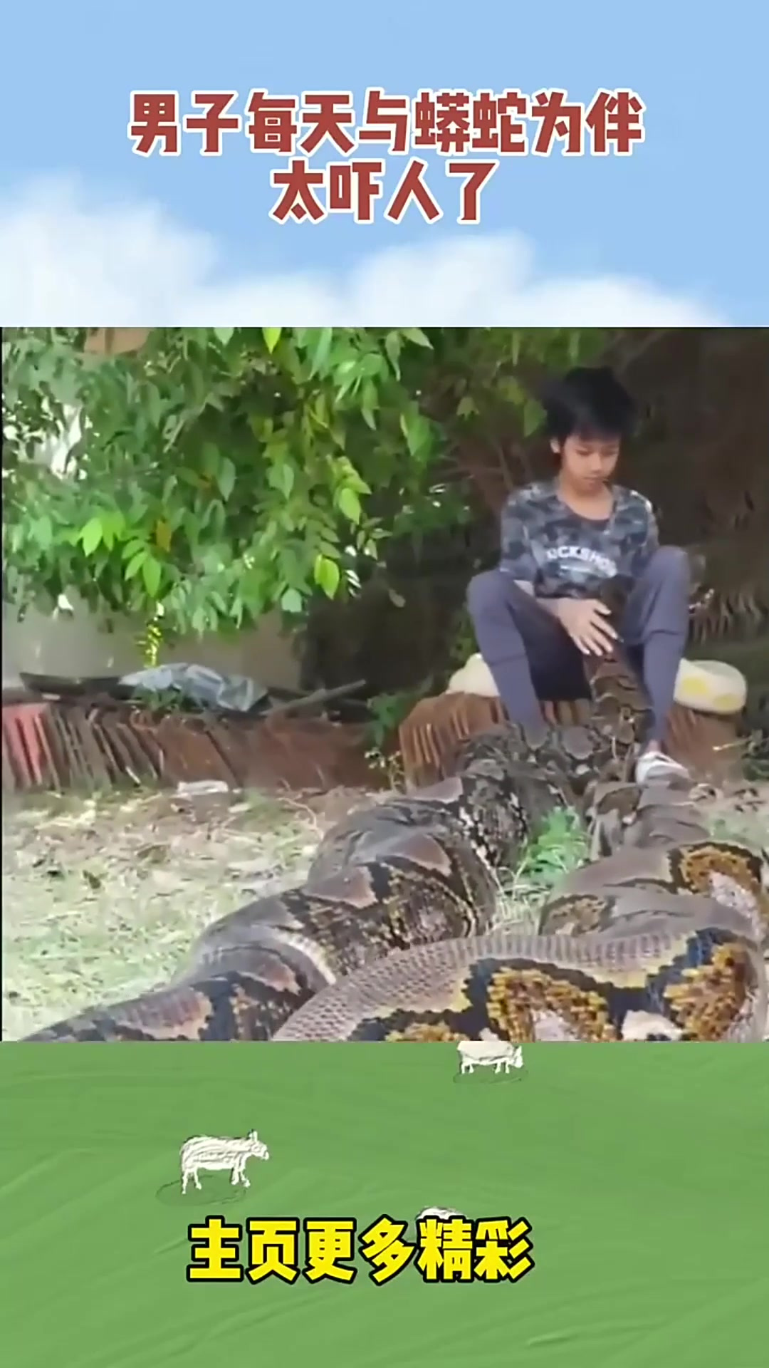 男子每天与蟒蛇为伴太吓人了