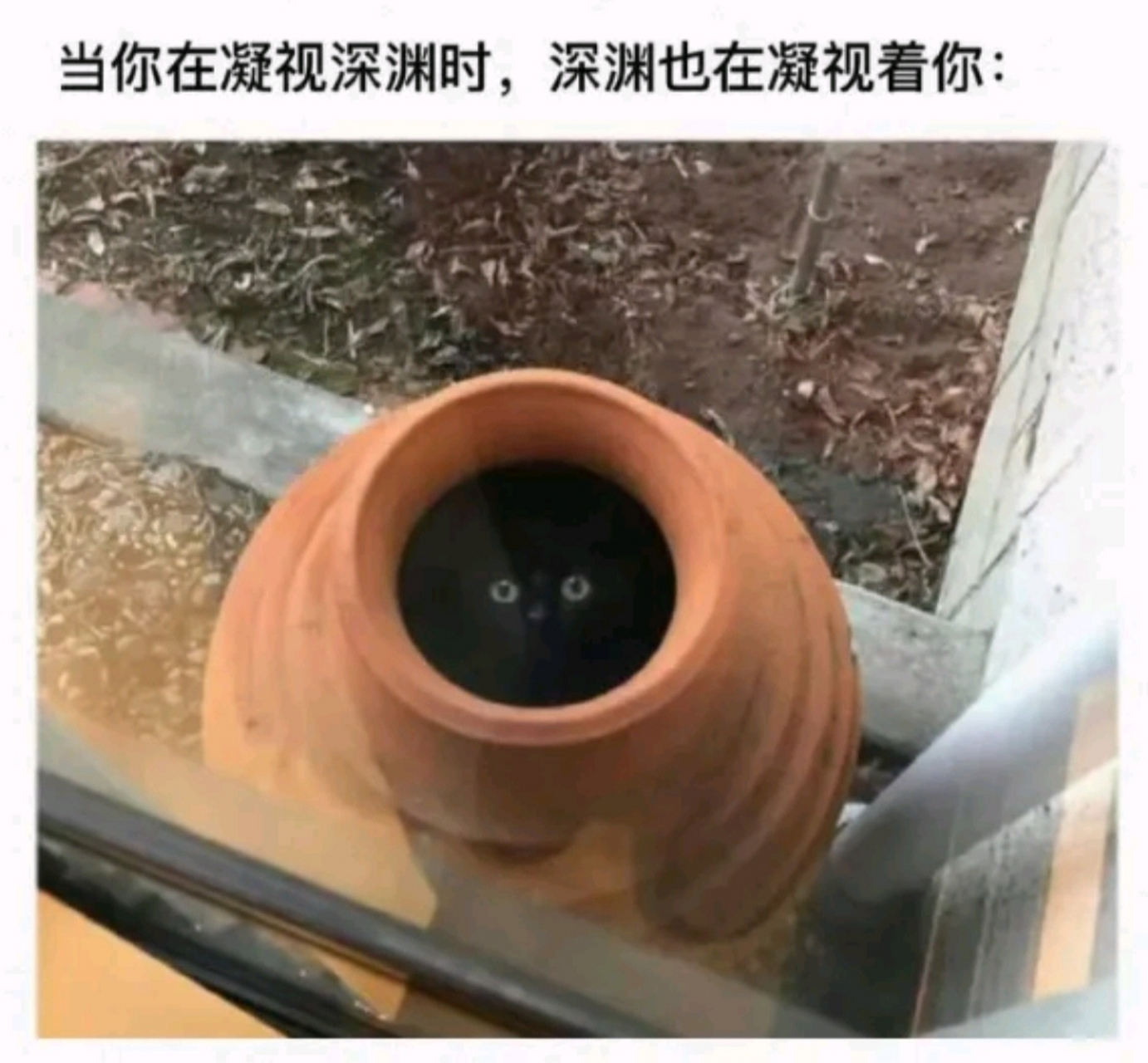 当你在凝视深渊时,深渊也在凝视着你#搞笑