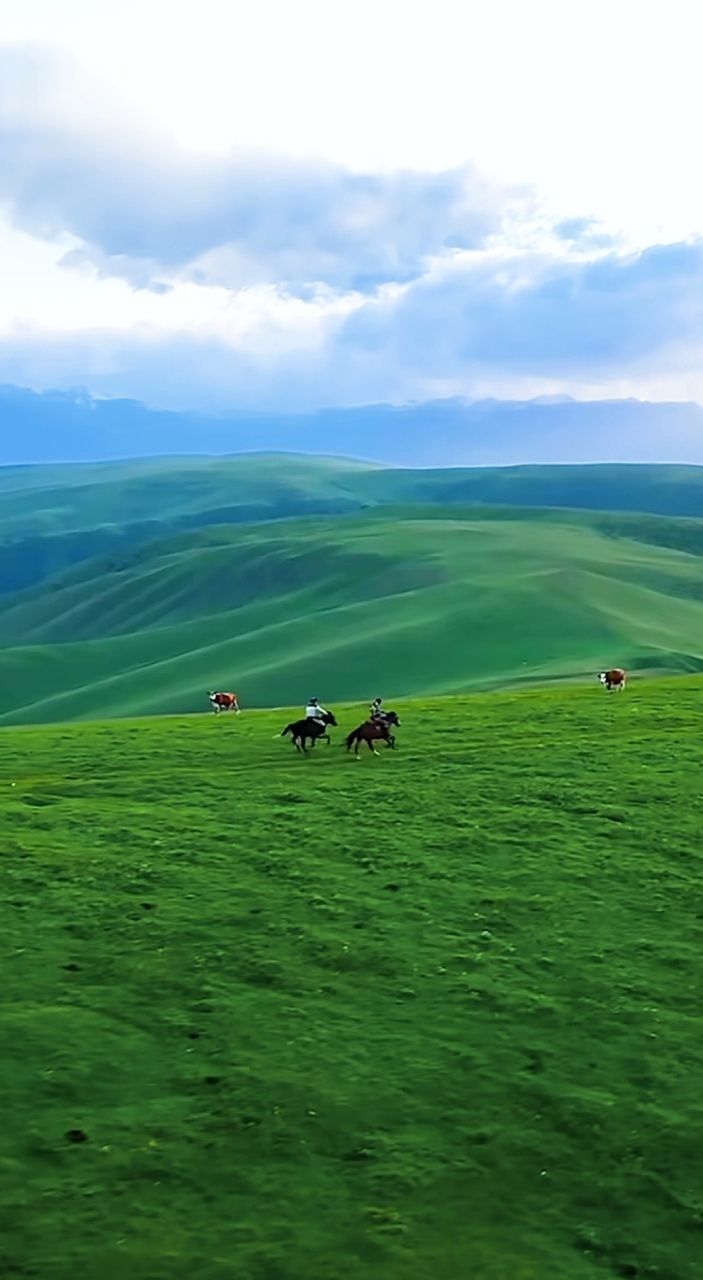 美丽草原风景手机壁纸图片