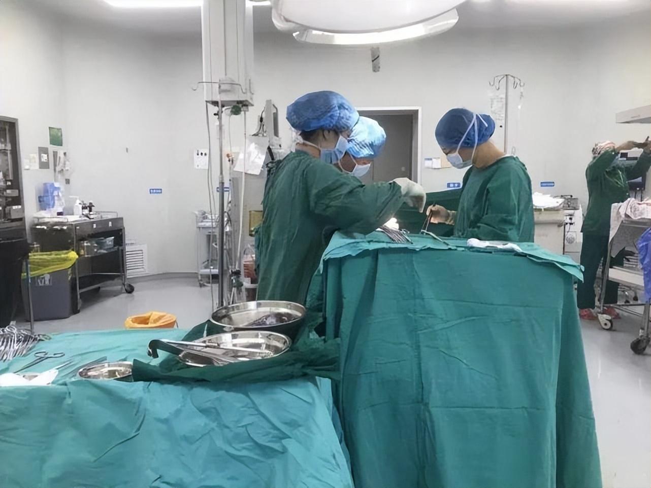 2006年贫苦夫妇生5胞胎父母咬牙坚持不愿送人后来如何