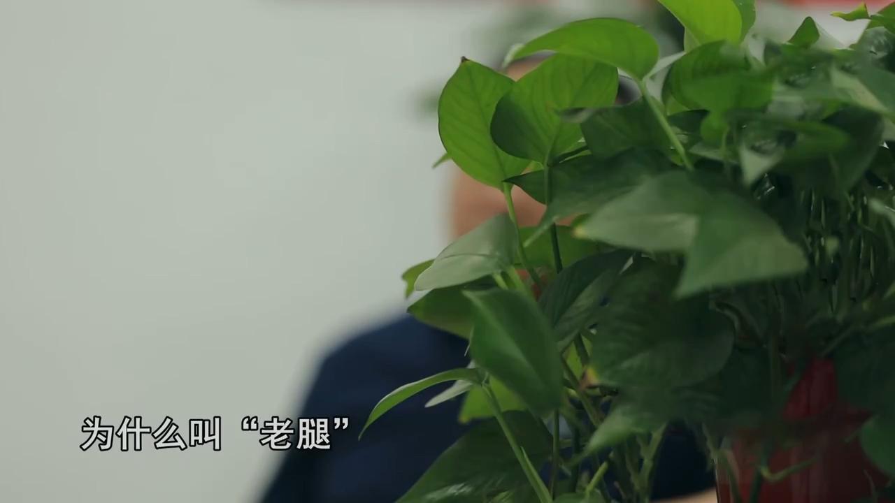 21年河南老汉神秘报警,困难户全款买了百万豪车,调查发现不简单