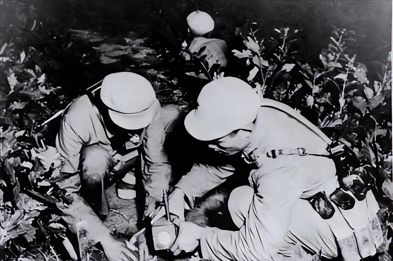 1979年我国铁道兵回撤时连越南铁轨都拆下运回来这是真的吗