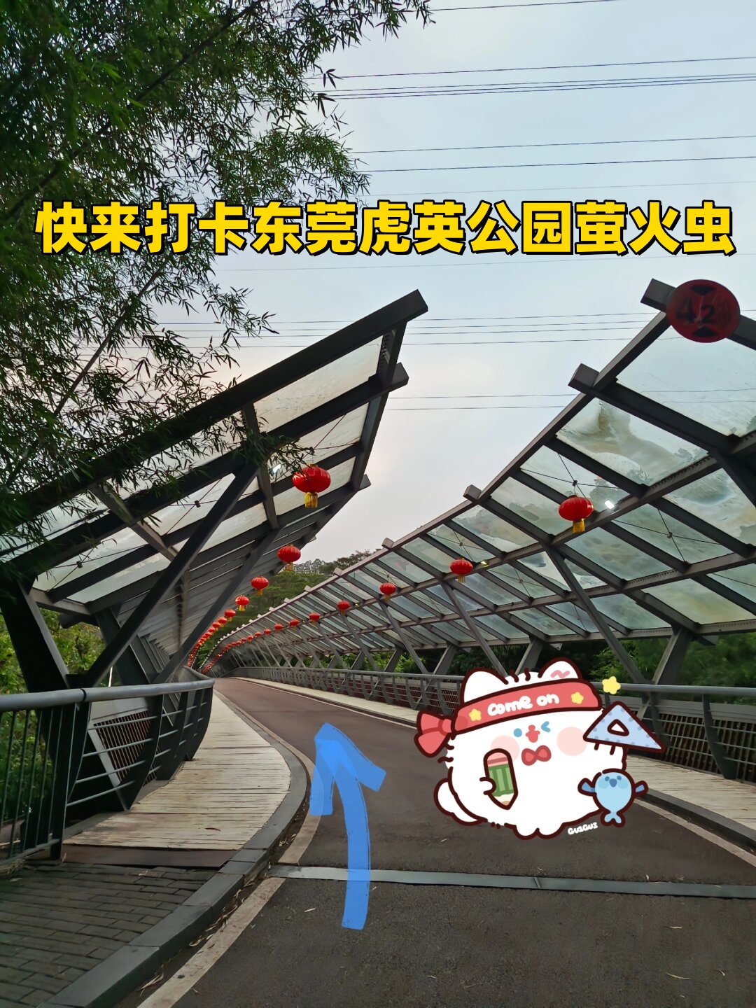快来打卡东莞虎英公园萤火虫