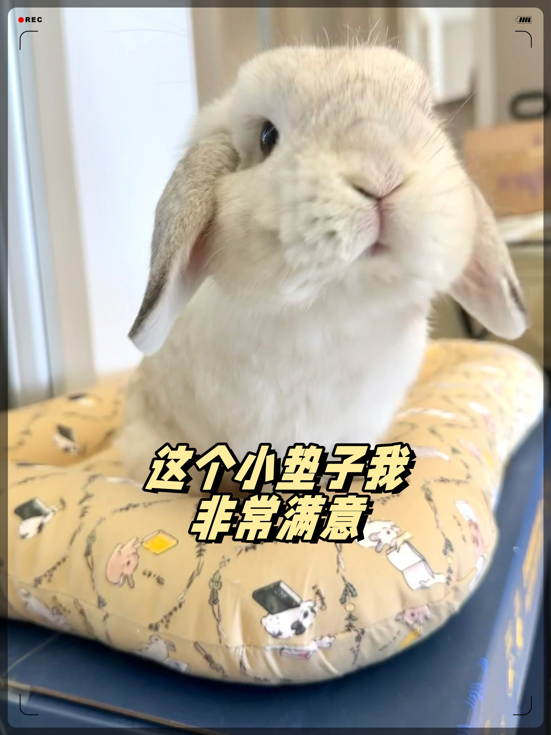 这个小垫子我非常满意