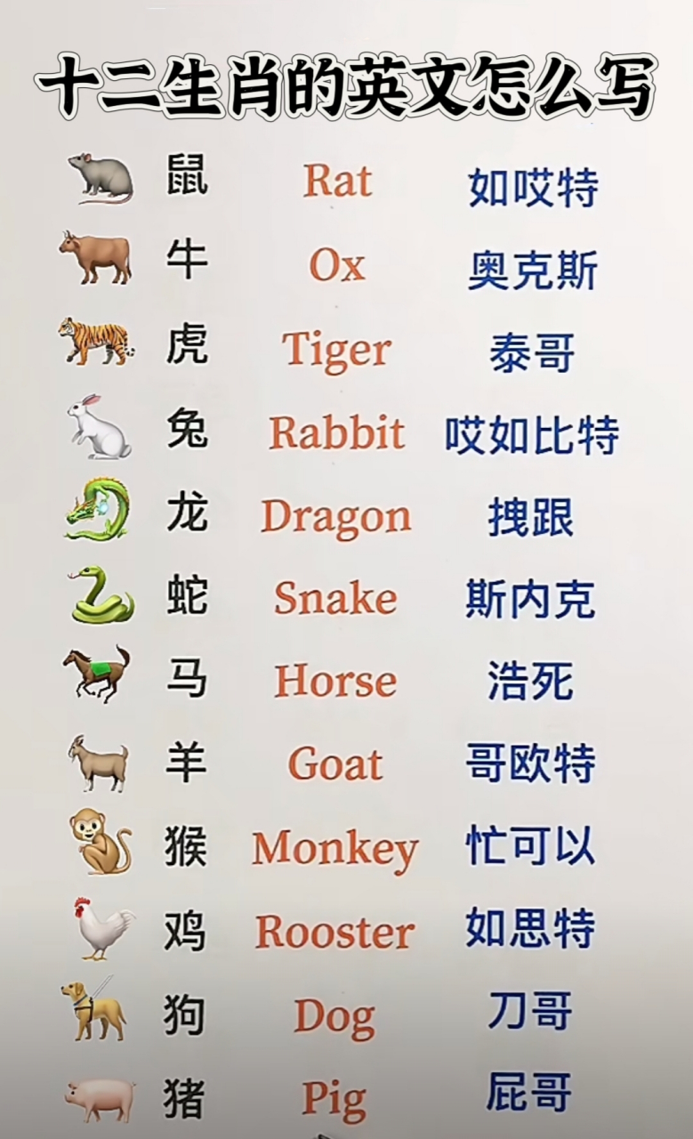 十二生肖的英文怎么写 宝子们你知道十二生肖的英文怎么写吗?