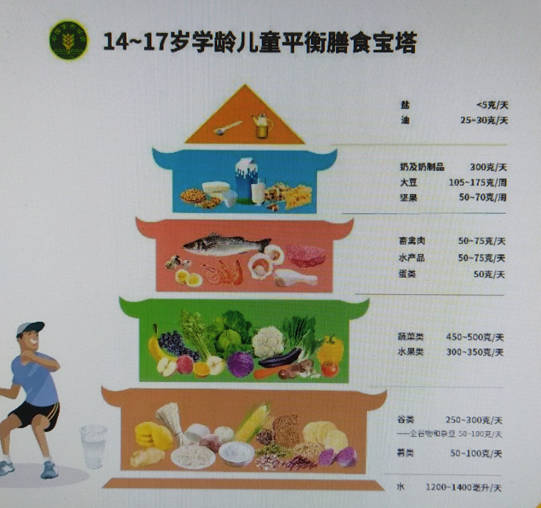 14~17岁学龄儿童一一平衡膳食宝塔