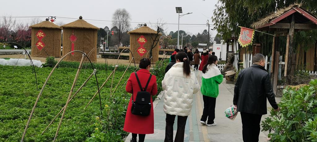 郫县先锋村图片