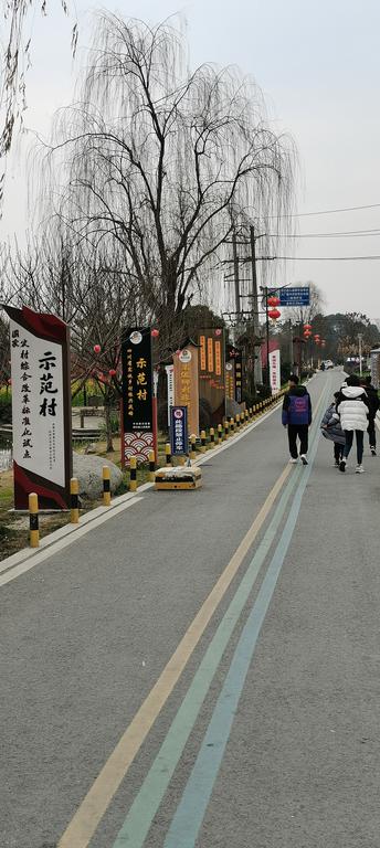 新春走基层,参访先锋村——各地作家记者成都郫都区采风之三