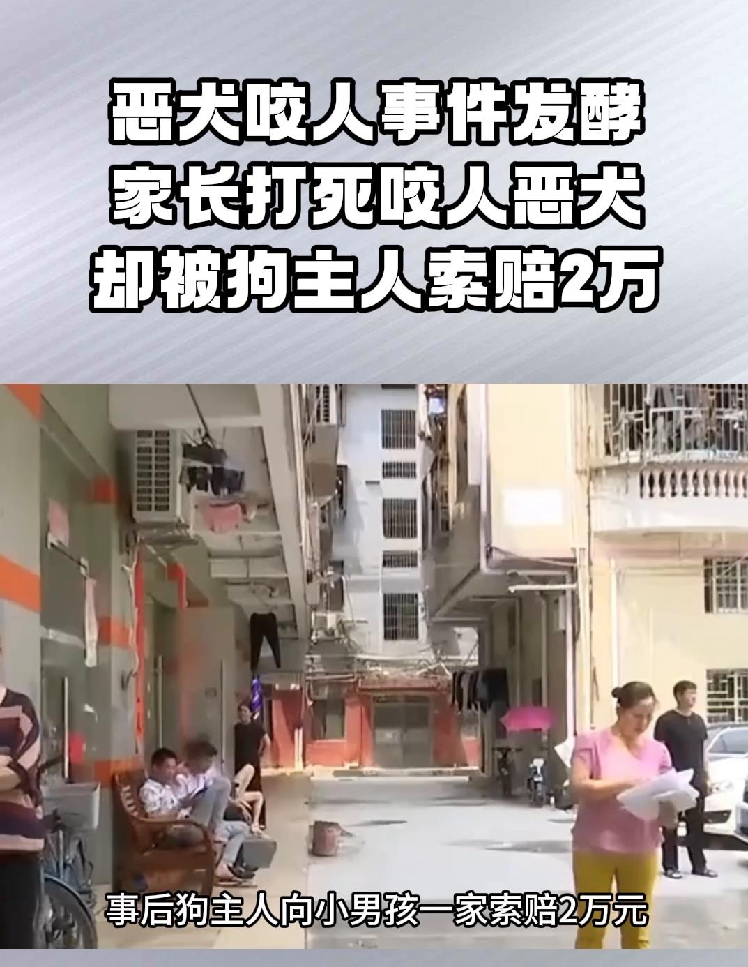 恶犬咬人事件发酵家长打死咬人恶犬却被狗主人索赔2万