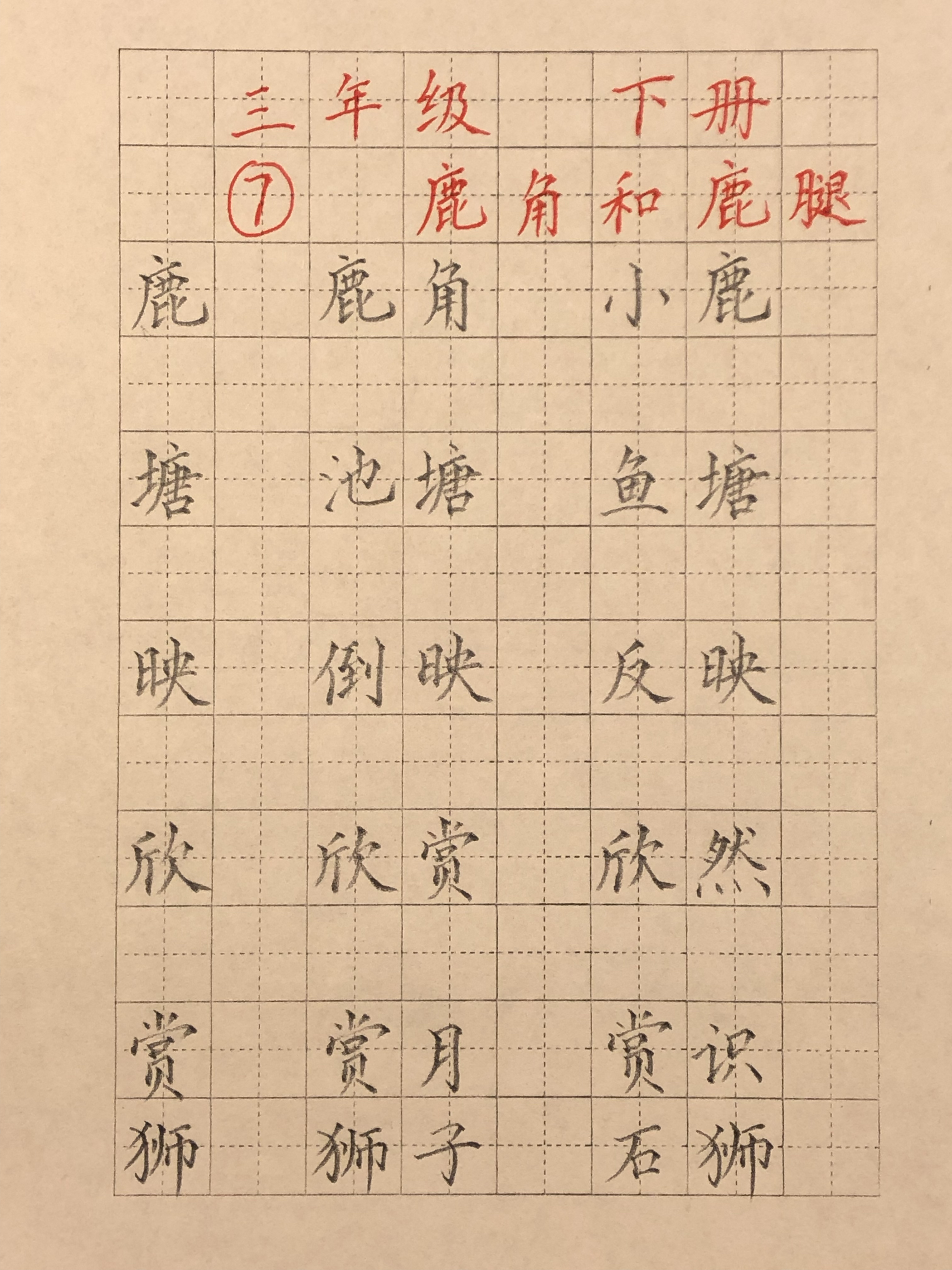 三年级下册第七课《鹿角和鹿腿》课后生字 组词