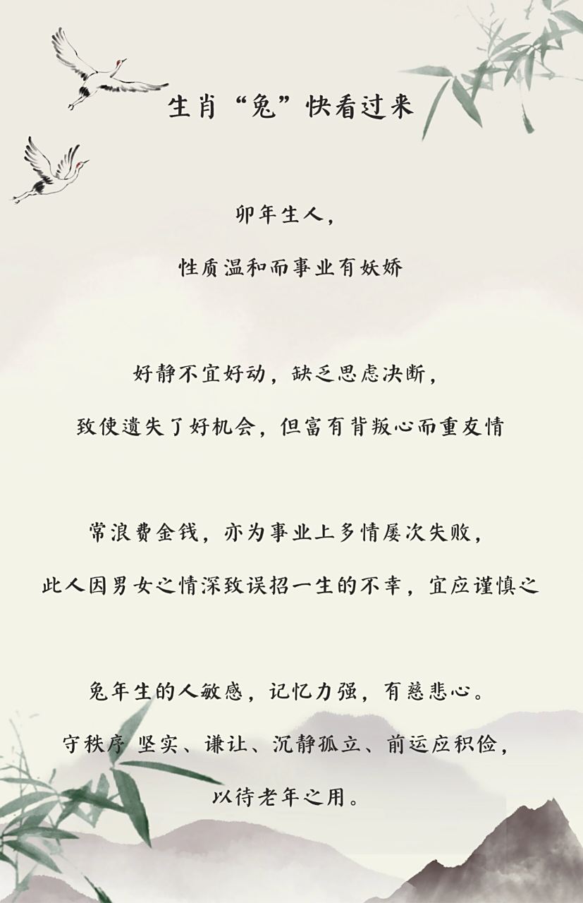 形容生肖兔的运势词(属兔的形容词)