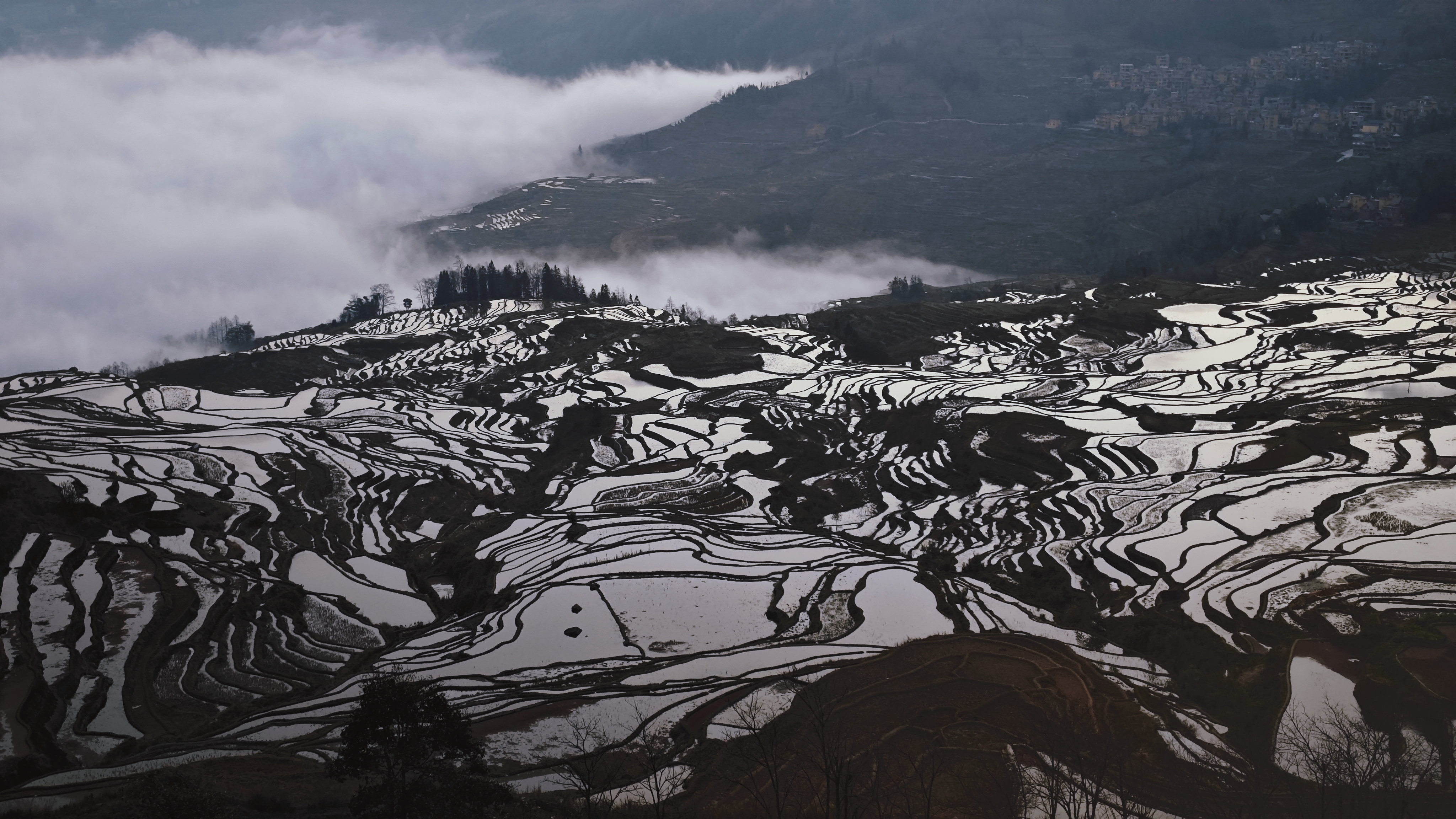 元阳哈尼梯田 多依树云海日出