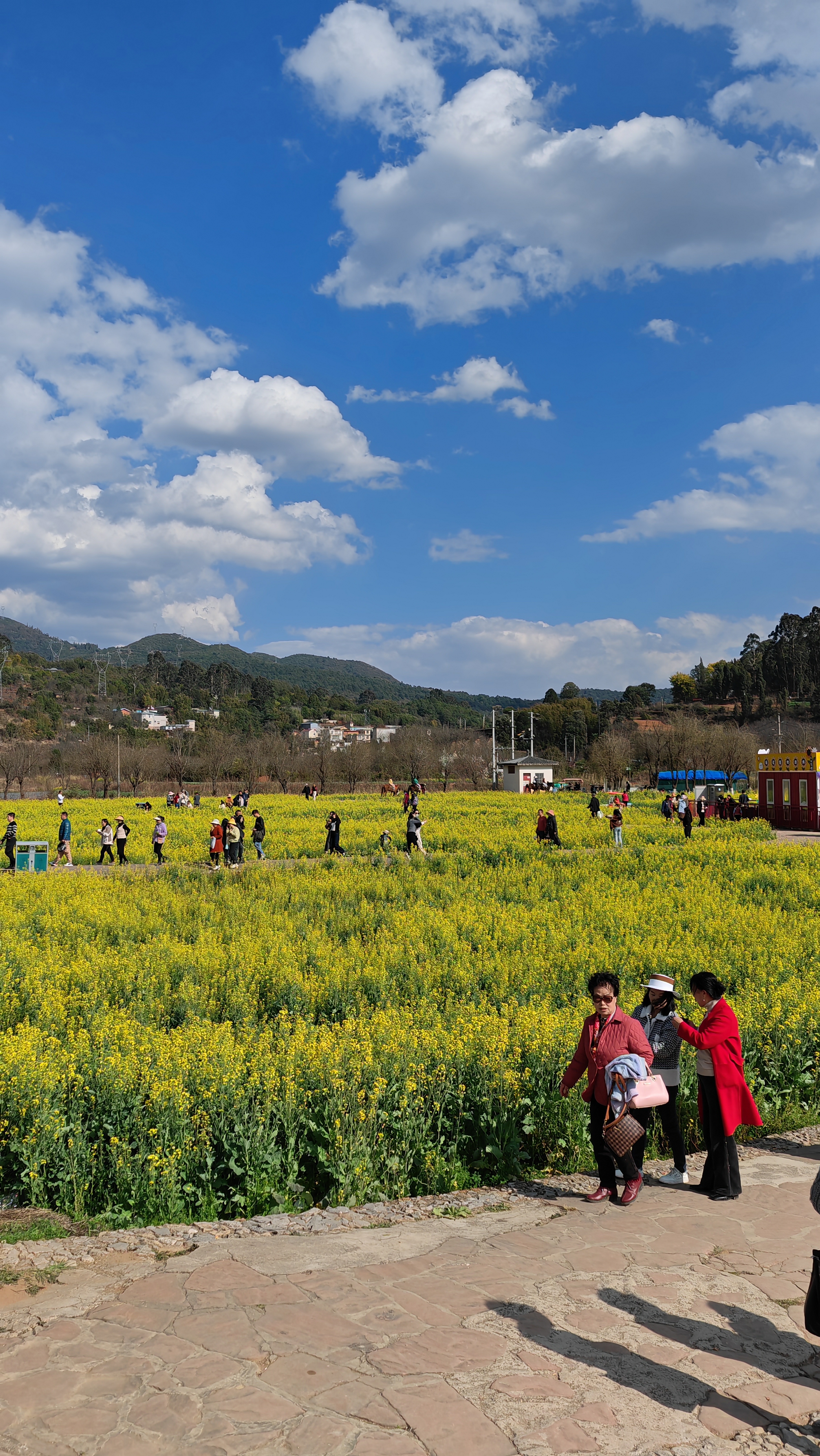 安宁牧羊湖风景区图片