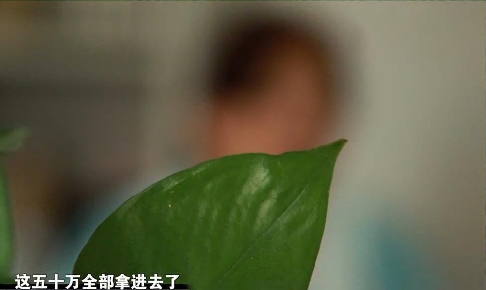 壁纸 昆虫 桌面 976_584