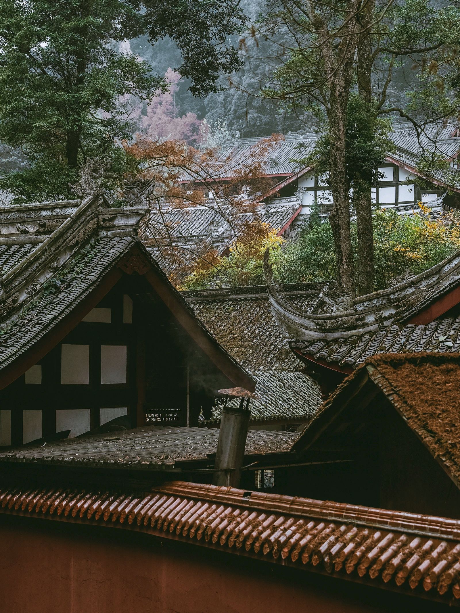 带你逛寺庙:崇州光严禅寺