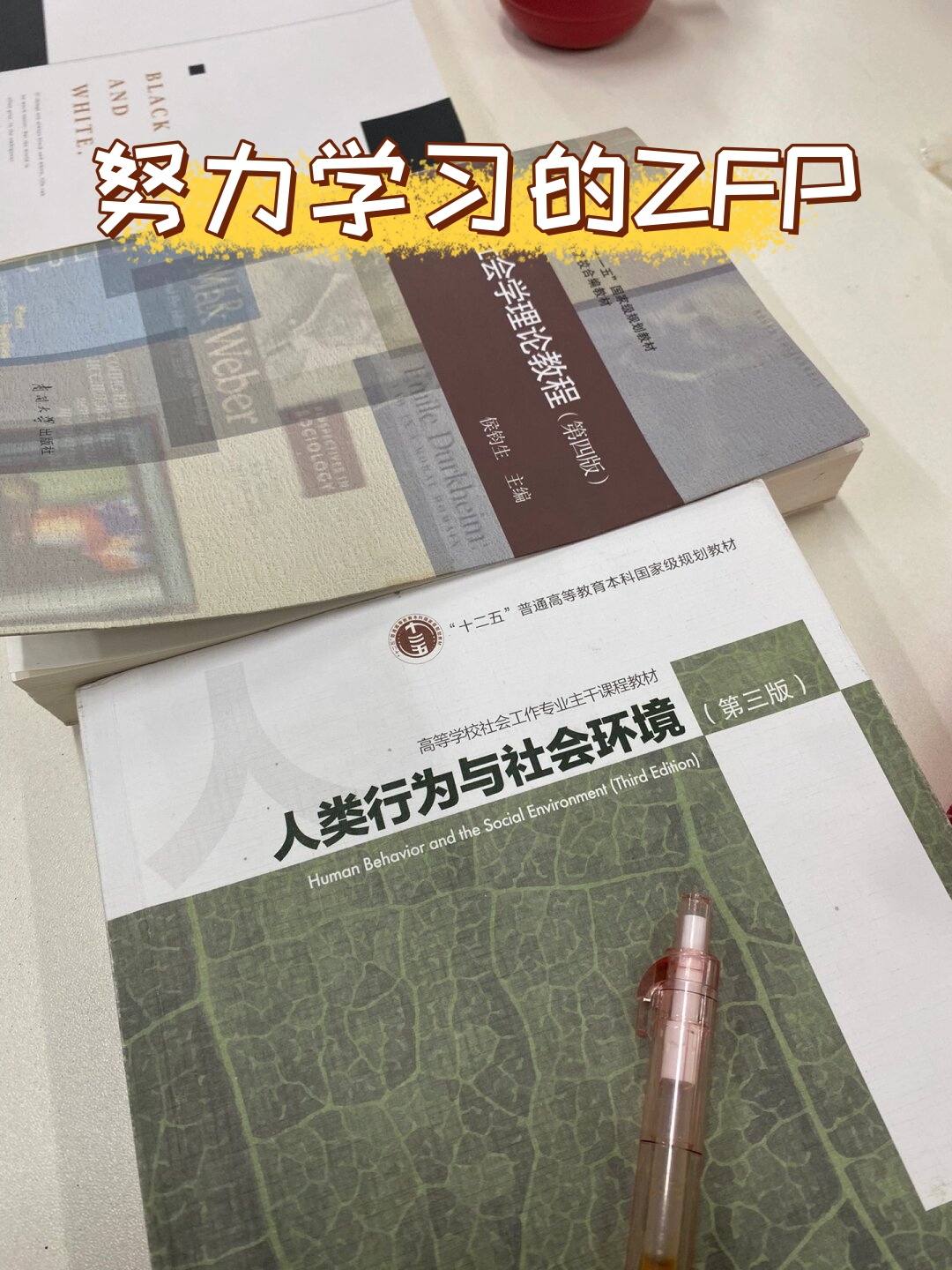 努力学习的zfp 在人类行为与社会环境课上,我全力以赴地钻研西方社会