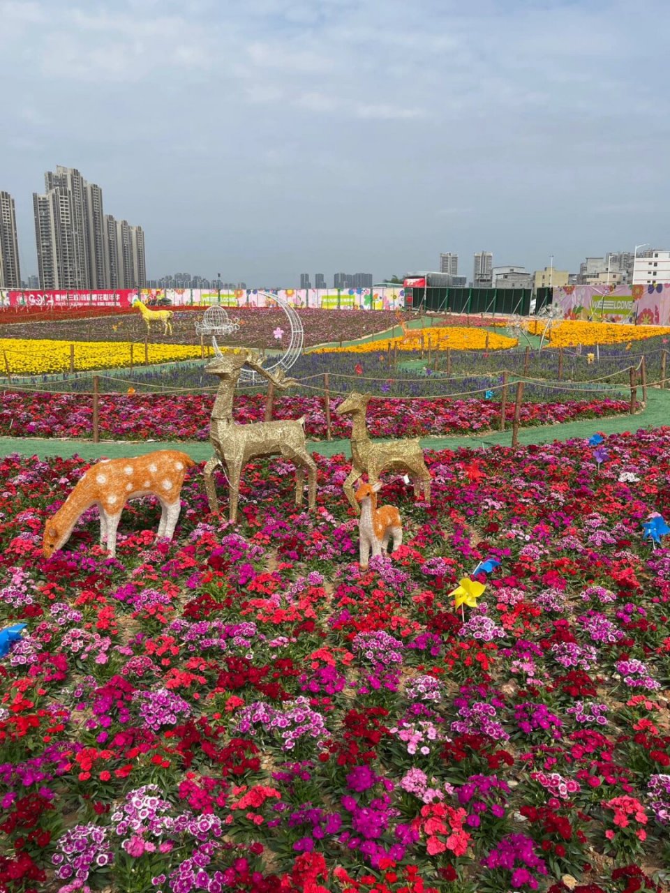 惠州三栋看花的景点图片