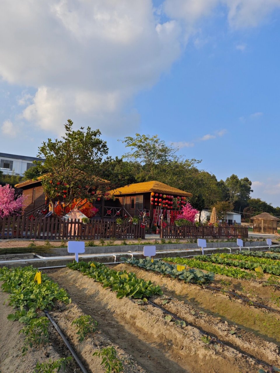 农场试营业免费活动来啦!  宝子们,福利来啦!