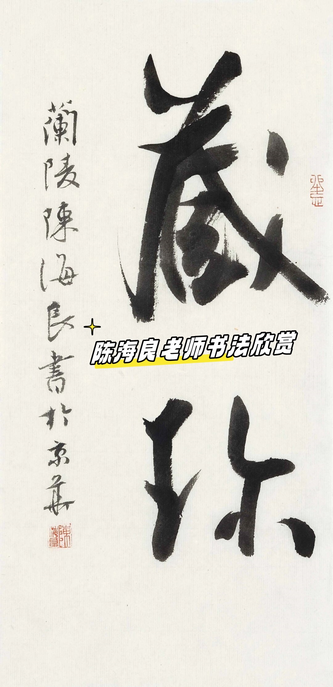 陈海良老师书法欣赏 书法艺.@芷尔的小爱好的动态