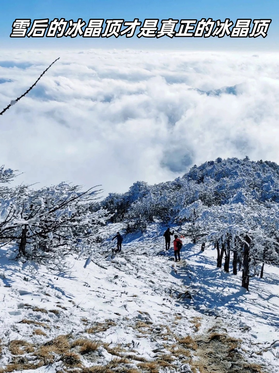 高山晶莹雪图片