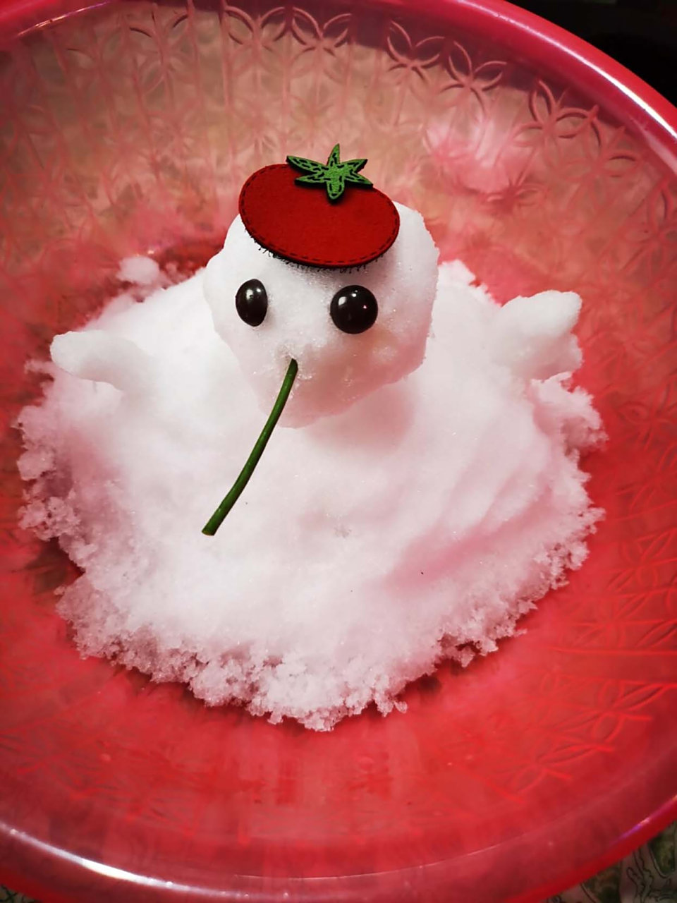 11个月的小幸运儿,与雪❄️的首次邂逅