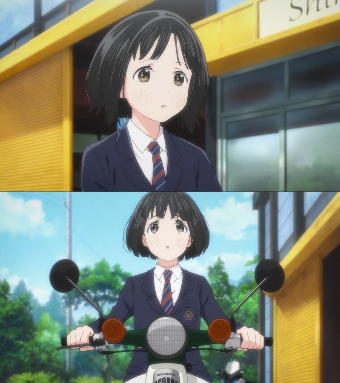 《本田小狼与我》  今天我要和大家分享一部充满音乐与心动的故事