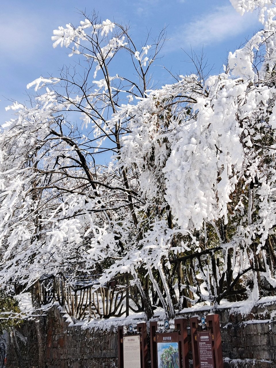 张家界天门山雾凇图片