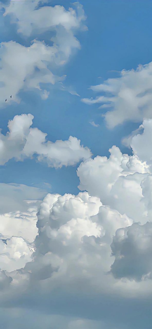 蓝色的天空,白色的云! 希望自己也像天上的小鸟一样, 自由自在!