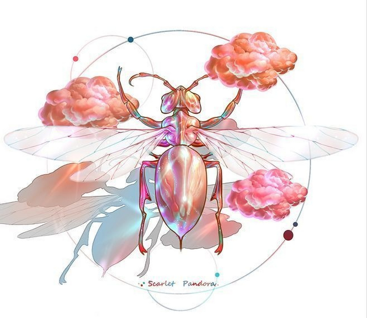 一组昆虫绘画作品欣赏,作者赋予了它们宝石般的色彩与光泽,非常的美丽