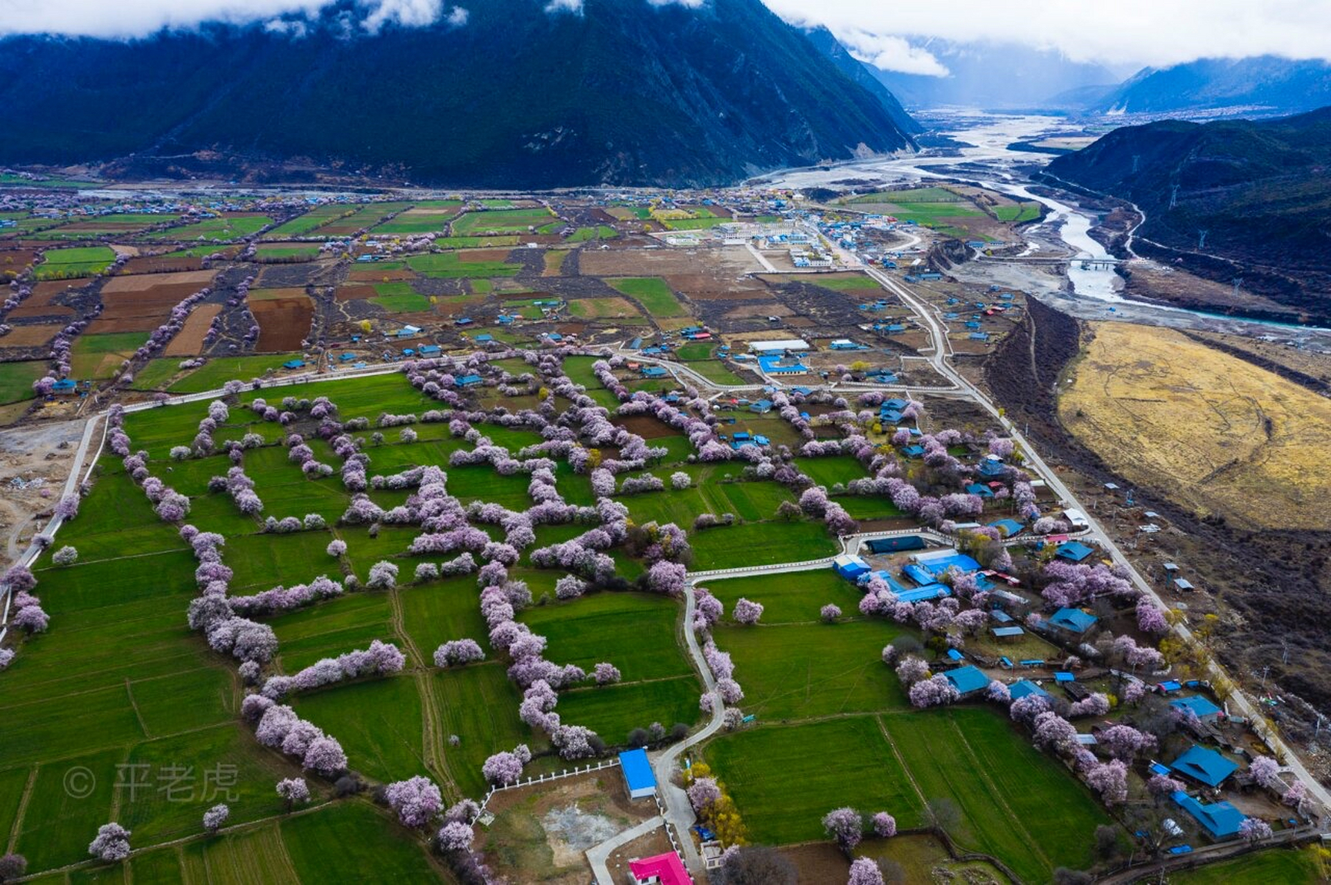 俯瞰田园风光,西藏波密倾多镇过了两侧桃花盛放的桃花沟,从桥上渡过