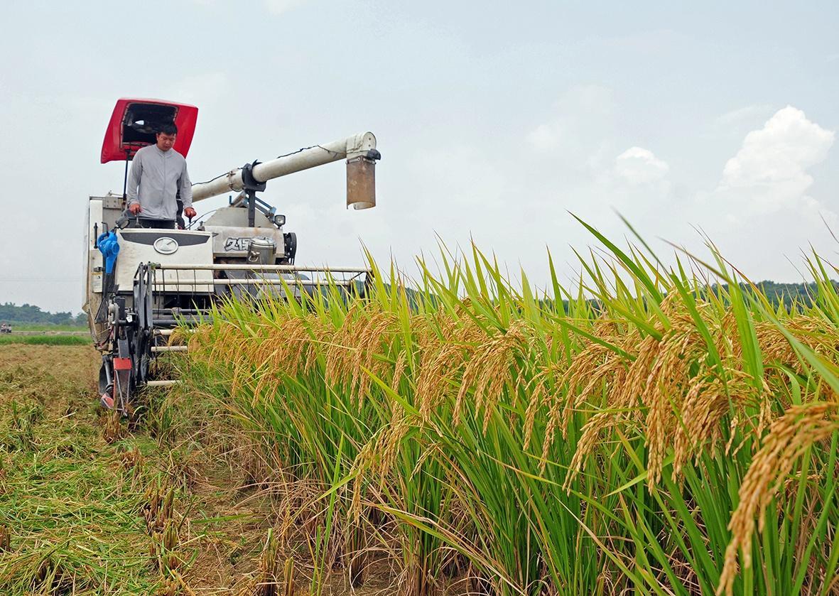 中美印耕地面积比较印度27亿亩美国2441亿亩我国有多少