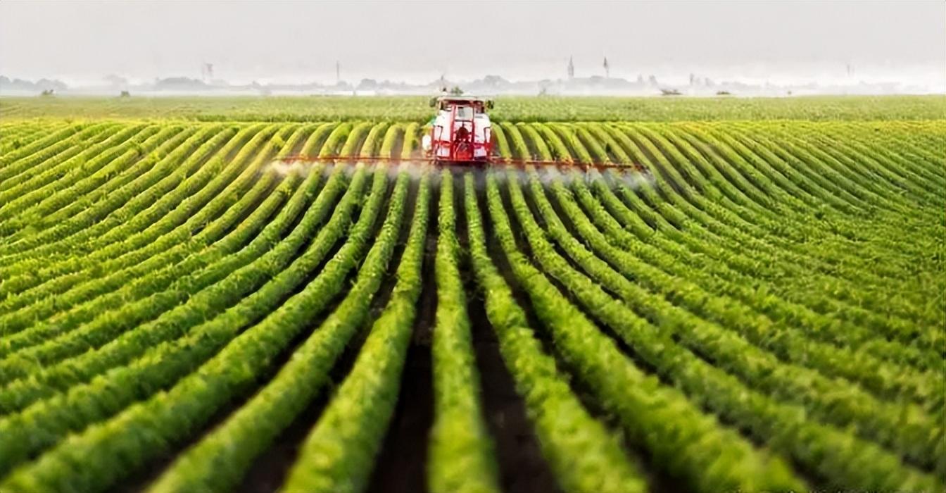 中美印耕地面积比较印度27亿亩美国2441亿亩我国有多少