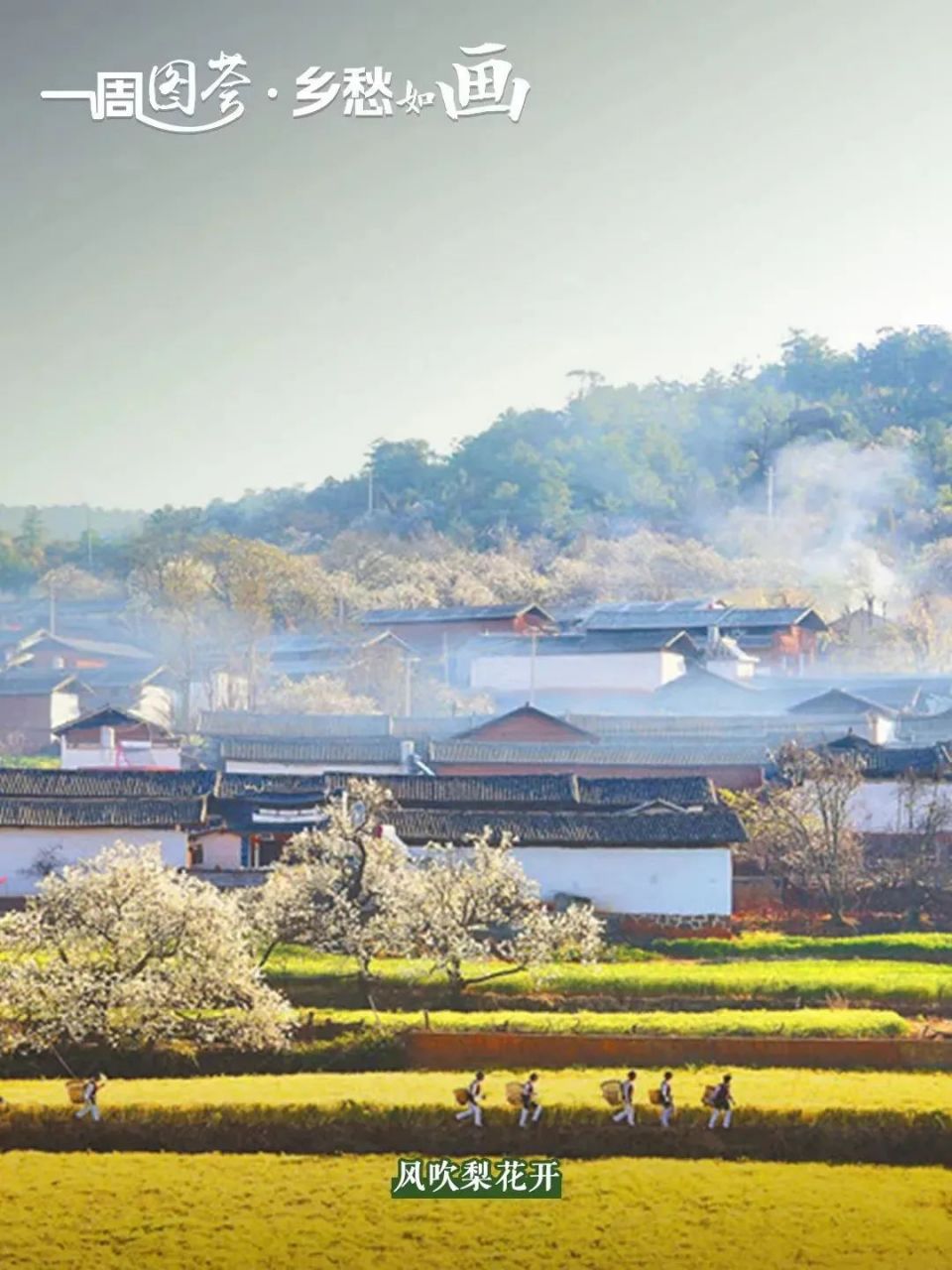 鹤庆奇峰村图片