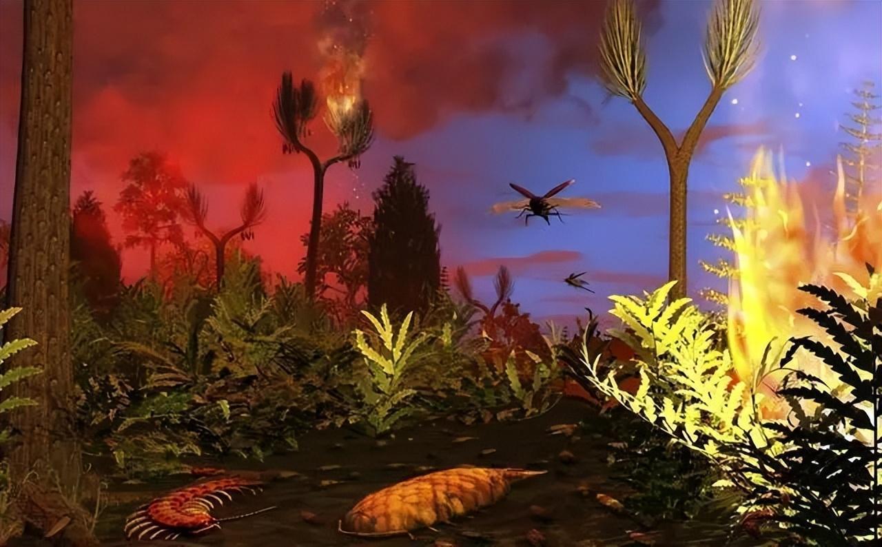 其实在3.06亿年前,地球就已经给出答案