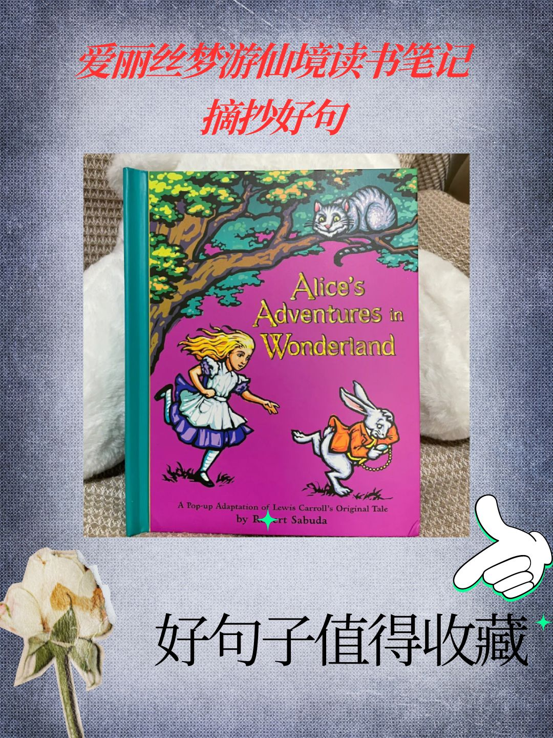 爱丽丝漫游奇境读书笔记摘抄好句  《爱丽丝梦游仙境》 不只是一本给