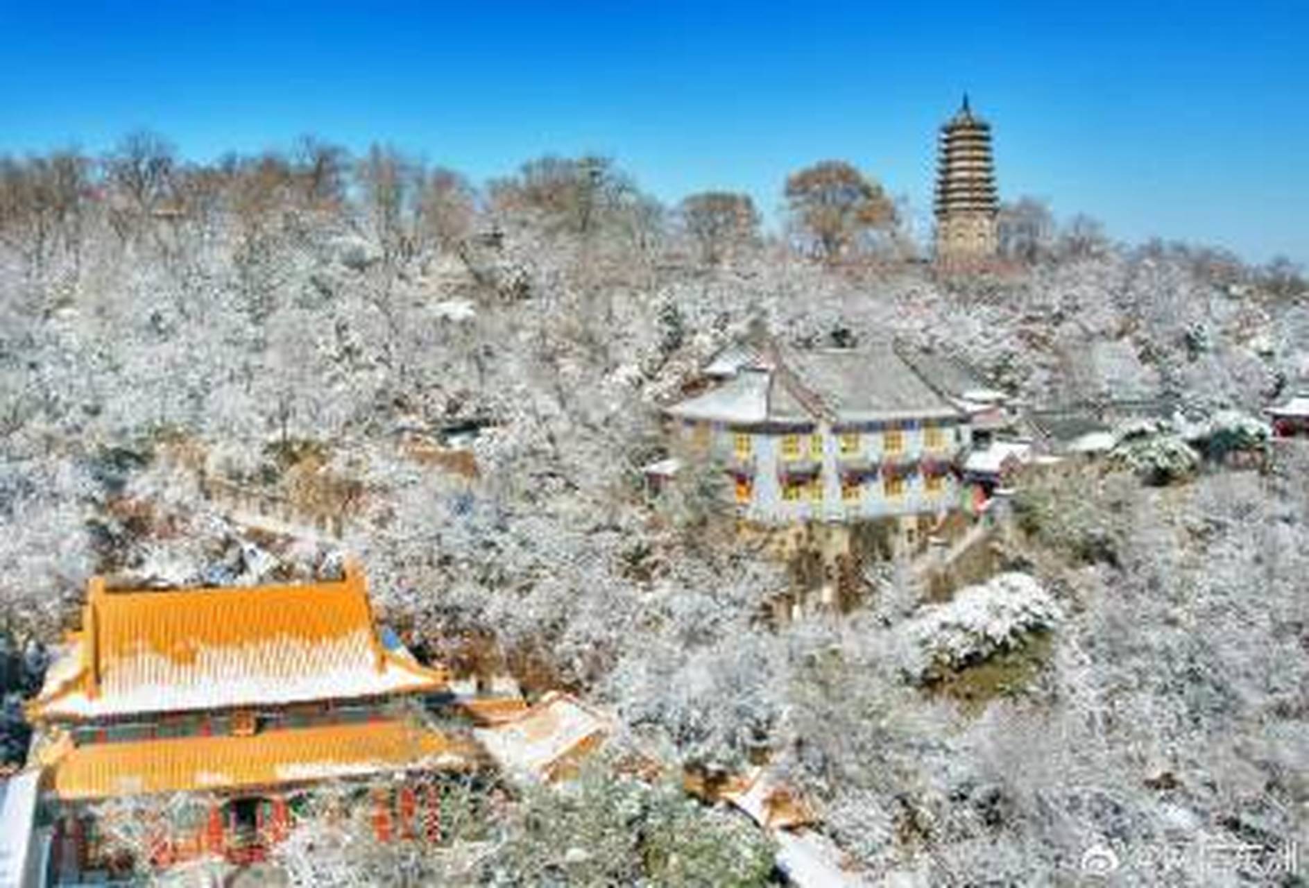 高尔山雪景图片