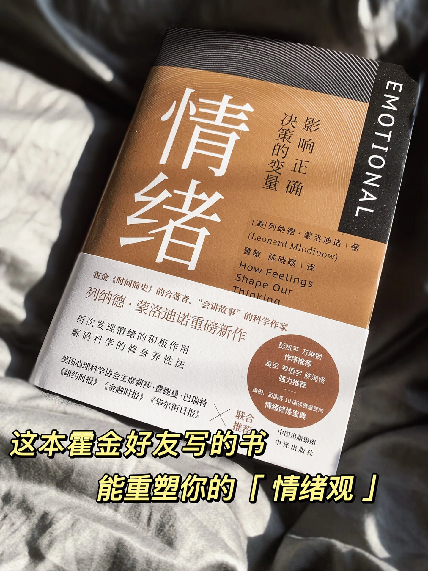 一开始我看到这本书名《情绪影响正确决策的变量》脑子里就蹦出走