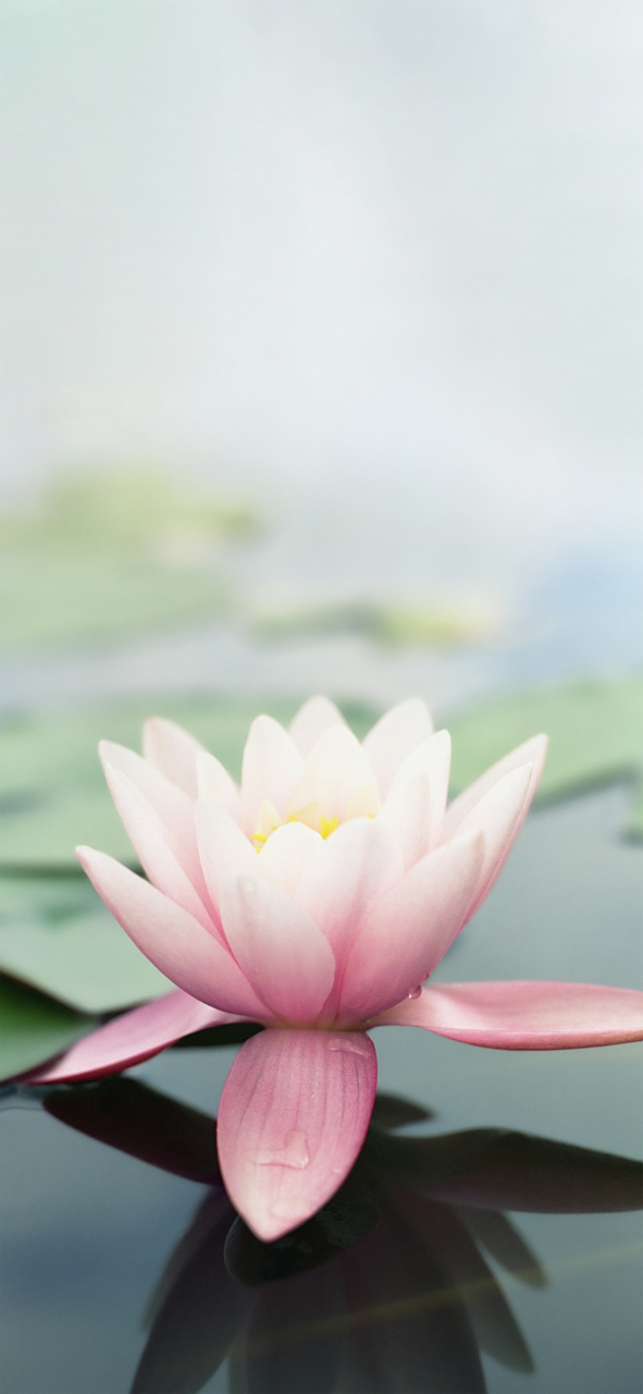 【每日壁纸】厂牌系列:苹果ios 7内置壁纸.