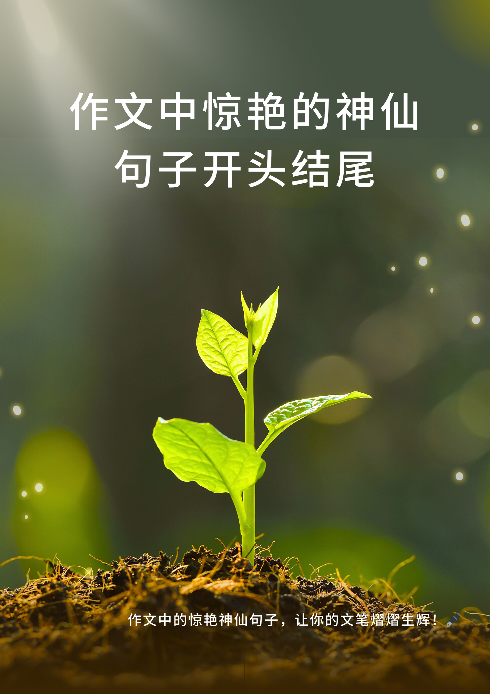 的世界里,一个惊艳的开头或结尾往往能令人眼前一亮,为文章增色不少