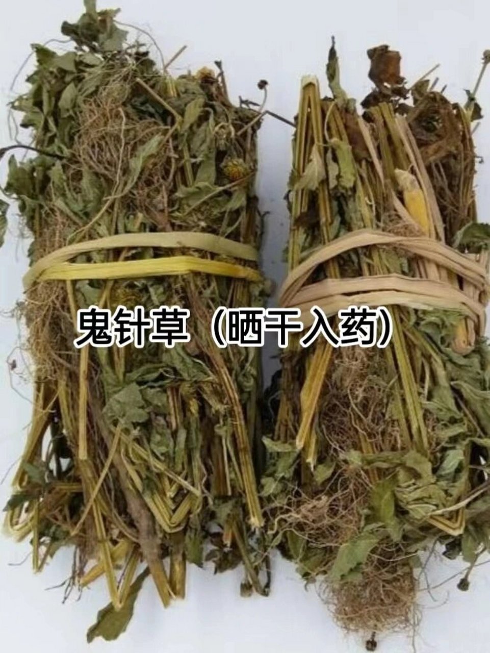 每天了解一味中药-鬼针草  鬼针草:神奇的解热解du草药  在我探索草药