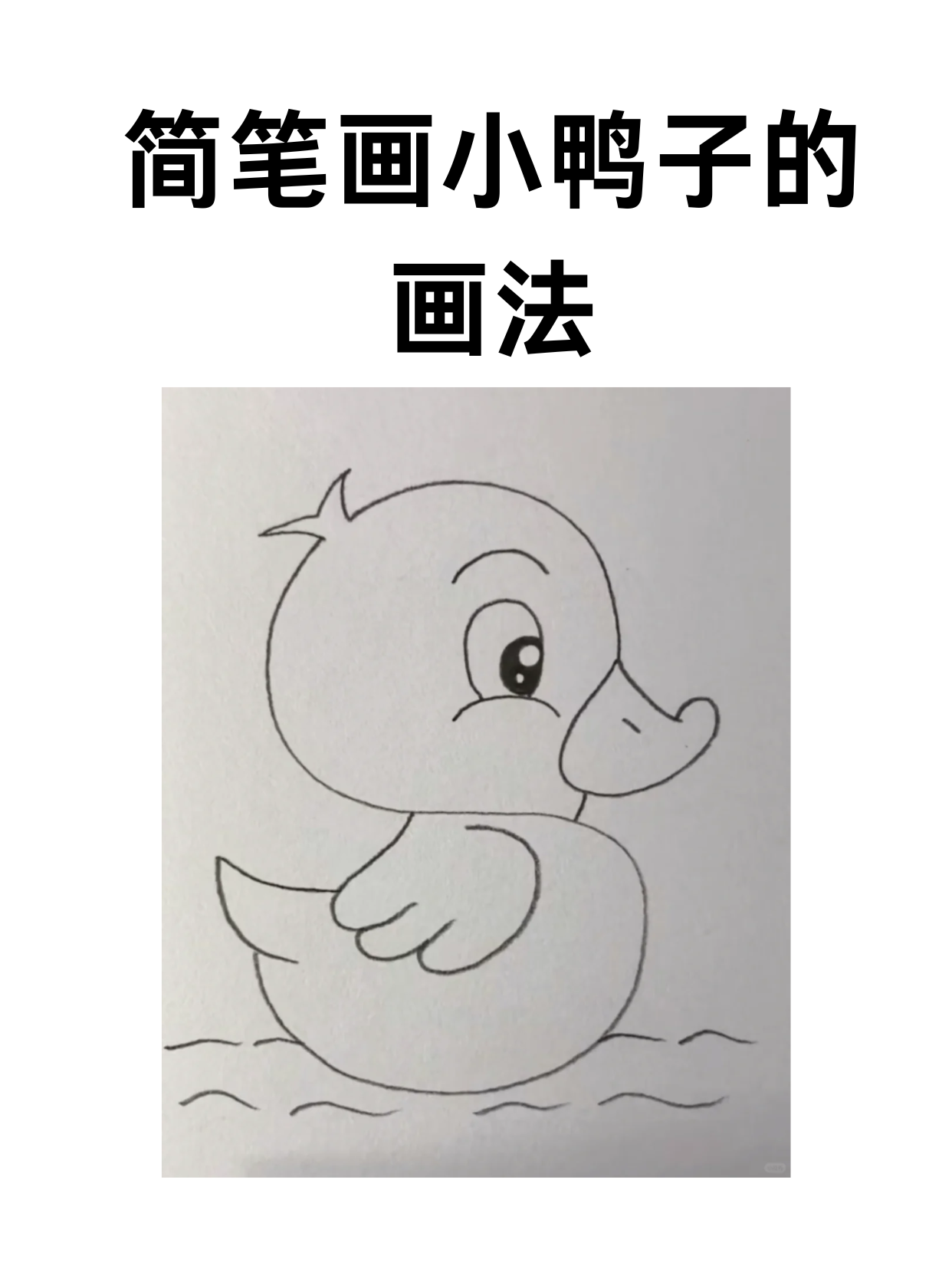 简笔画小鸭子的画法 我学过的简笔画小鸭子的画法 1,画出鸭子的脑袋.