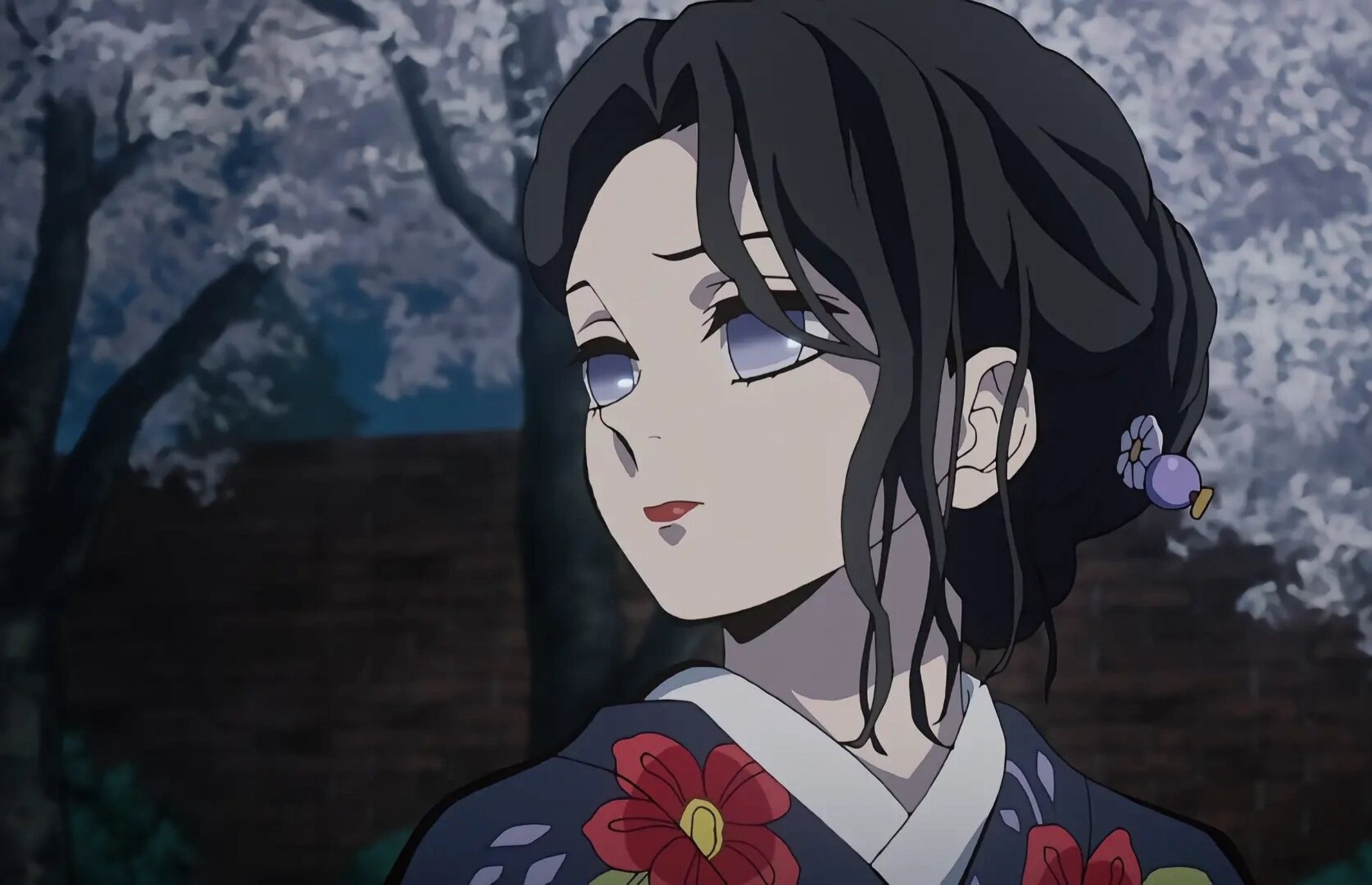 总有人会一直记得你的珠世小姐  99有人说,动漫,是我们心灵的一座