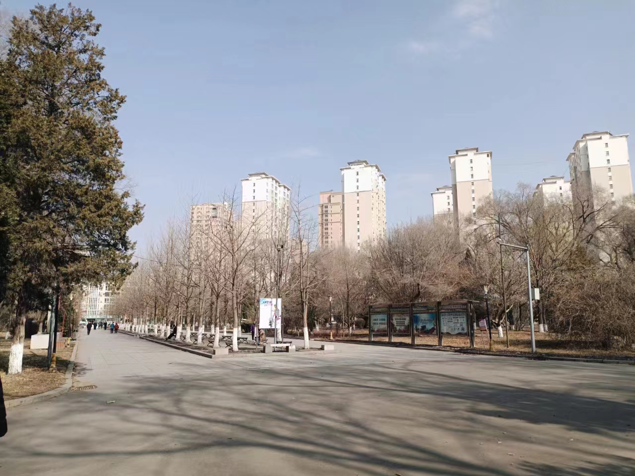 鞍山永乐公园晚上图片