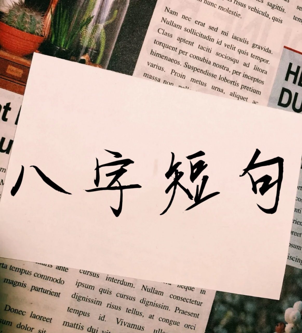 超级扎心的短语  73一别两宽,无我心安 73逢场作戏,各取所需 73