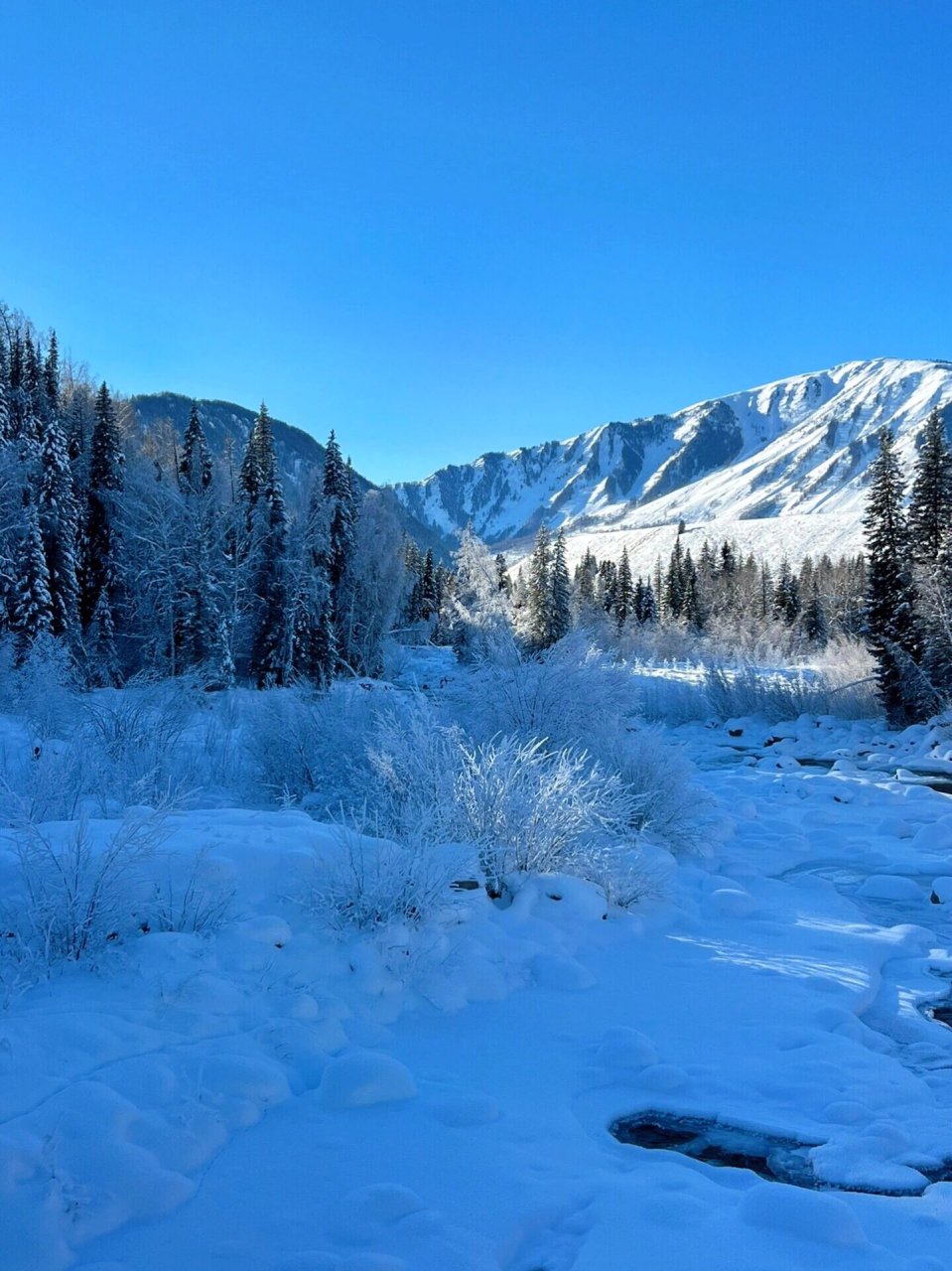 新春去看看阿勒泰禾木吧,景美人少 这里有冬季童话仙境禾木村 雪景