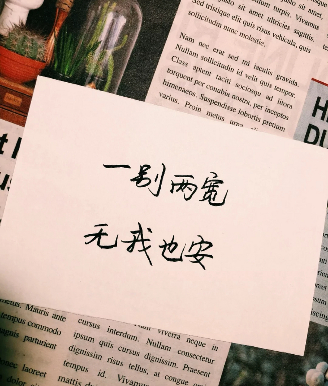 超级扎心的短语  73一别两宽,无我心安 73逢场作戏,各取所需 73