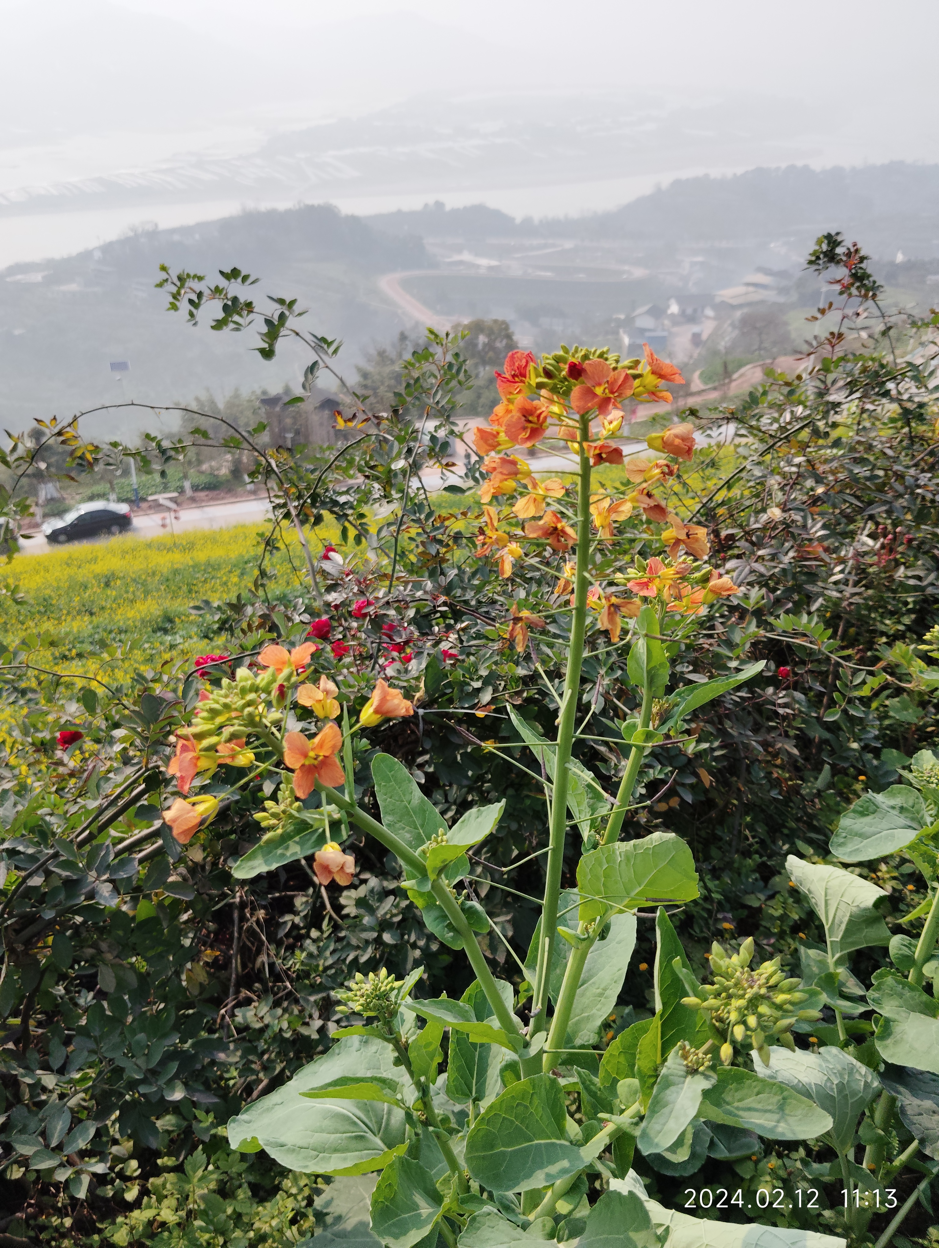 牛栏江旅游（牛栏江风景图片） 牛栏江旅游（牛栏江风景图片）《牛栏江景区》 旅游攻略