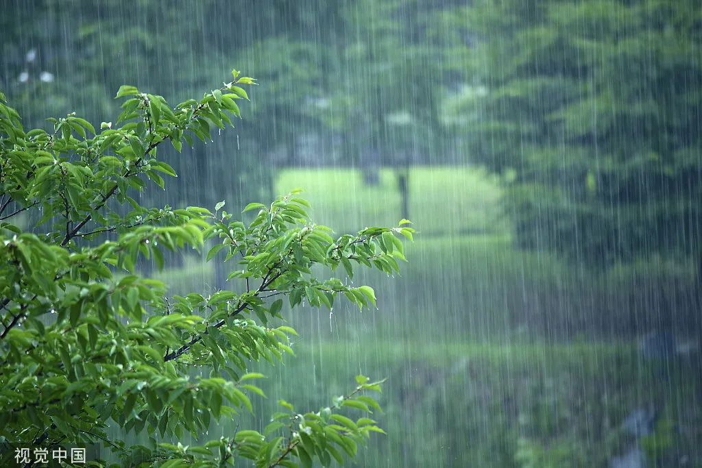 寻找雨水图片图片