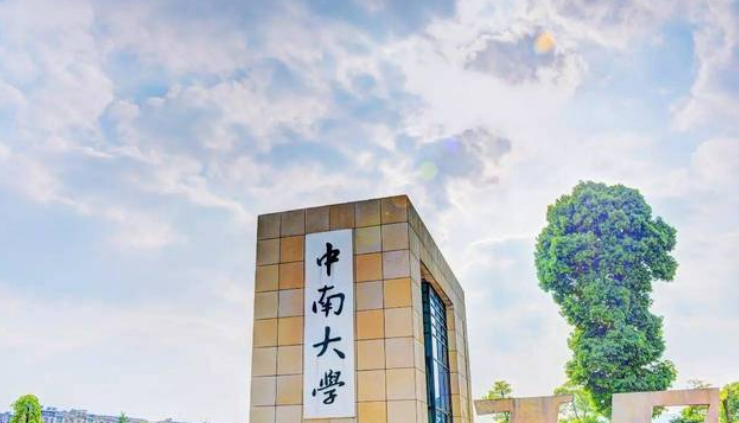 回顾几年前男子表白被拒冒充快递员混进中南大学连捅初恋8刀